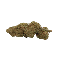 Caramel Outdoor