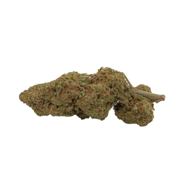 Caramel Outdoor