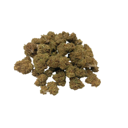 Small Buds Premium Bubble Gum