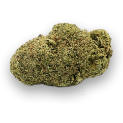 Candy Kush Premium