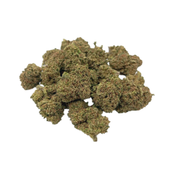 Small Buds Greenhouse Candy Kush