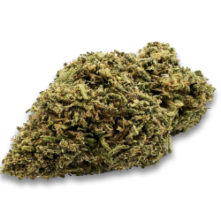 Super Lemon haze Indoor 100g