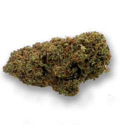 Strawberry Cookies Indoor 100g