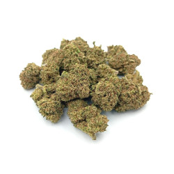 Small Buds Greenhouse Candy Kush 100g