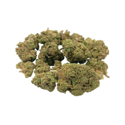 Small Buds Premium Orange Sherbet 100g