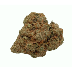 Northern Lights Premium