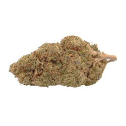 M.A.C. Premium