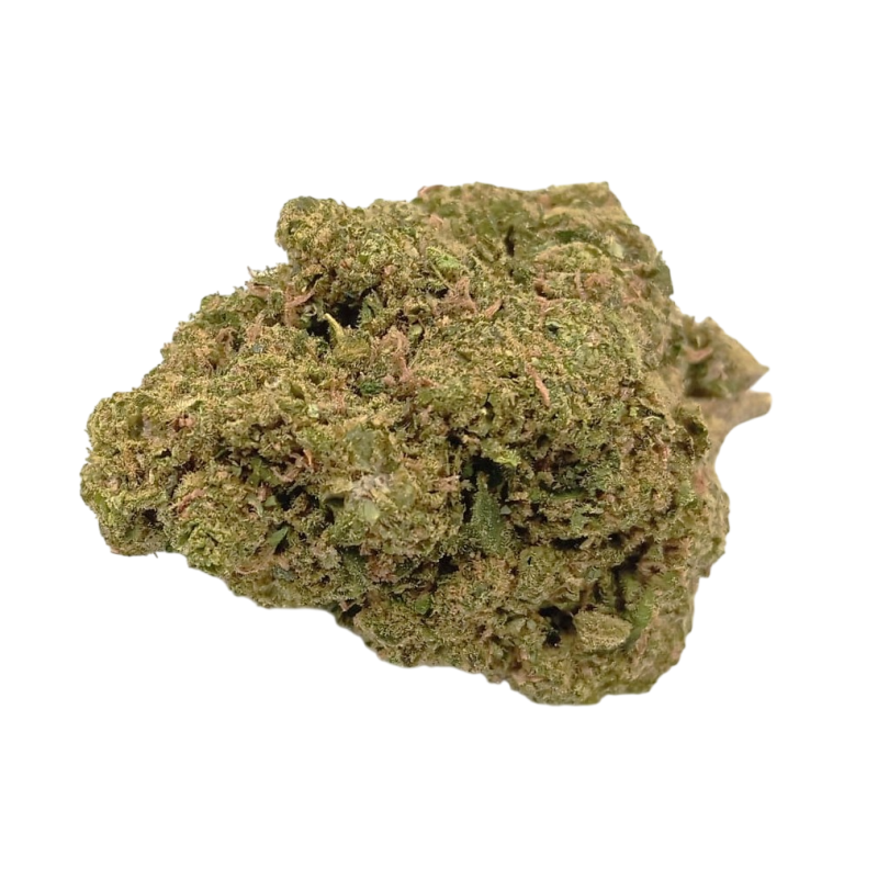 Gelato Premium