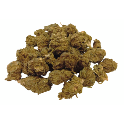 Small Buds Greenhouse MAC