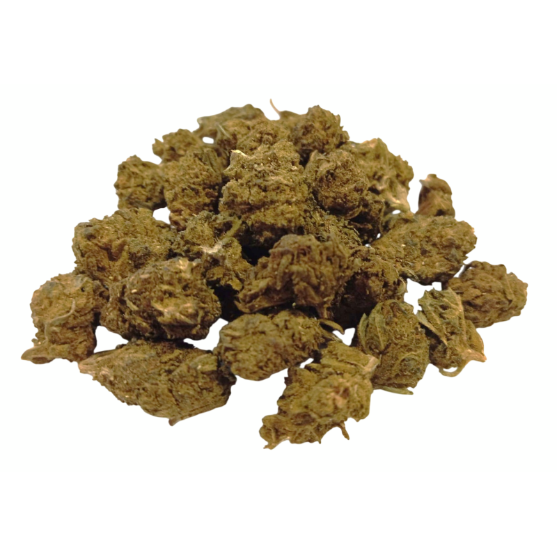 Small Buds Greenhouse MAC