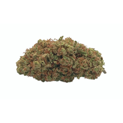 Amnesia Og 100g