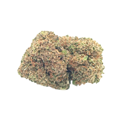 Cheese Indoor