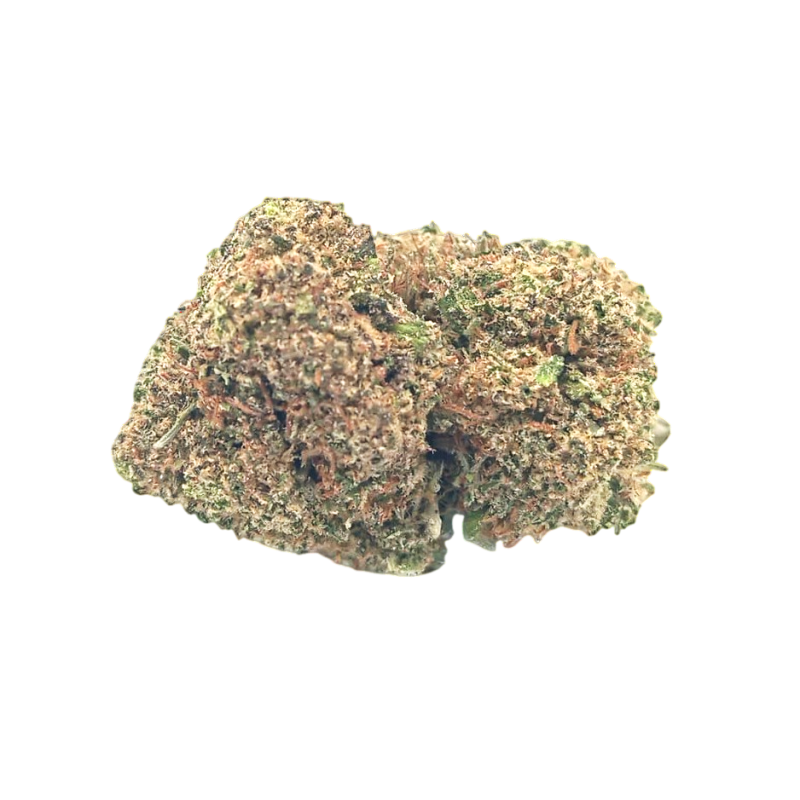 Cheese Indoor 100g