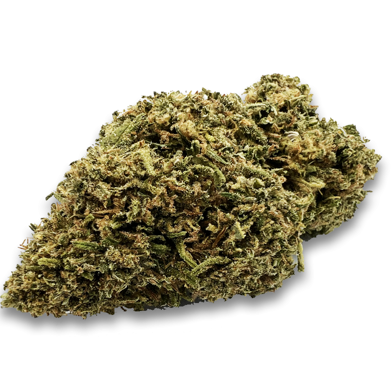 Super Lemon Haze Indoor