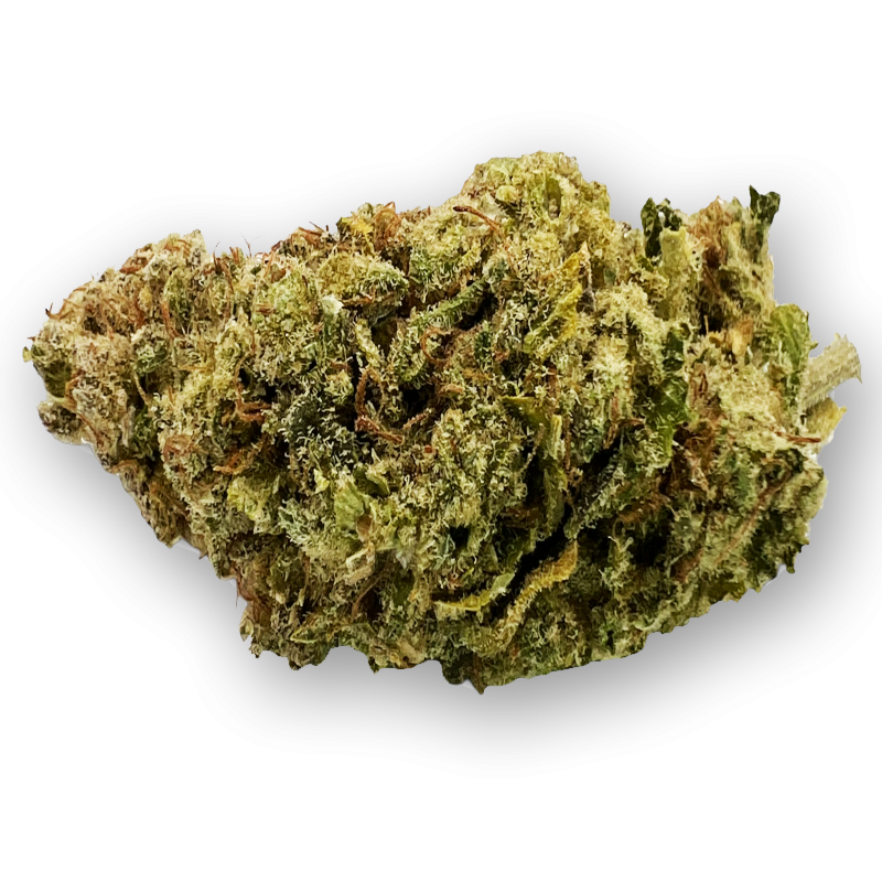 Northern Lights Premium